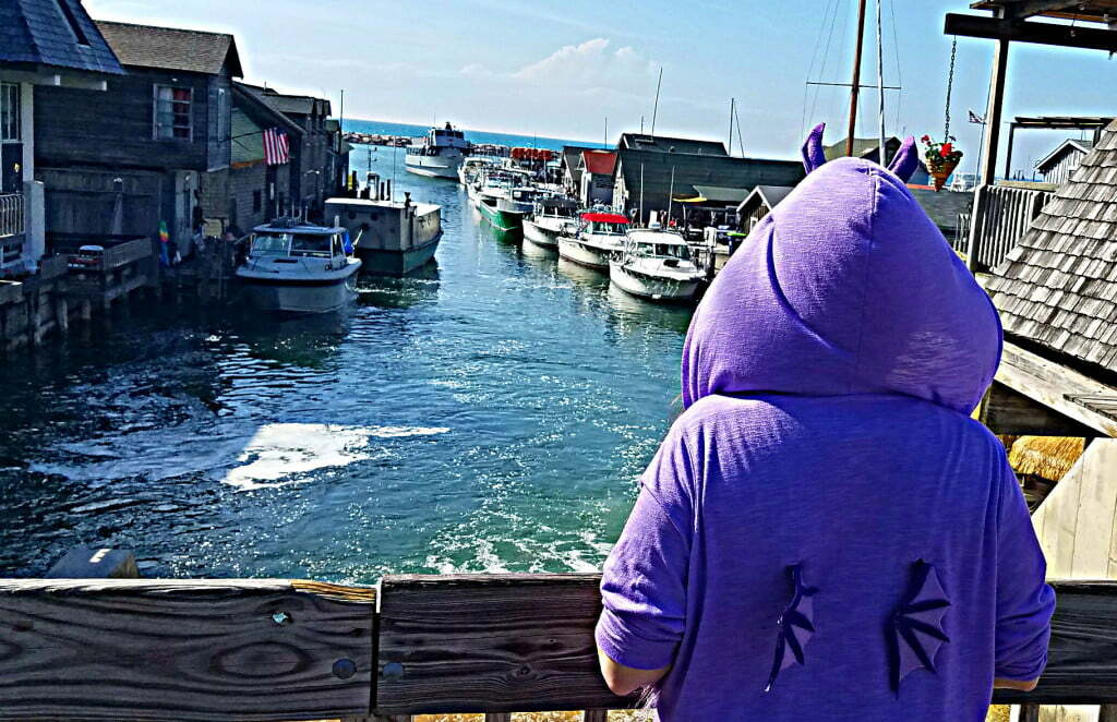 Fishtown USA Leland MI Adventure Dragon