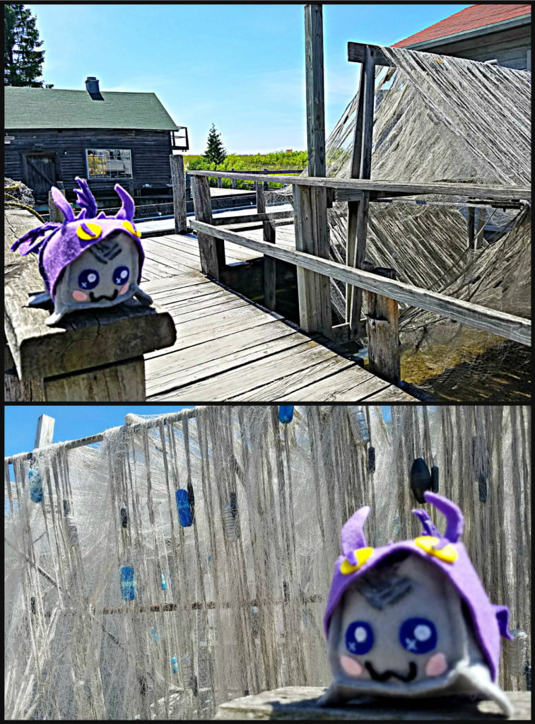 Fishtown USA Leland MI