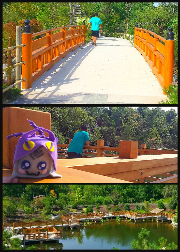 Richard & Helen DeVos Japanese Garden MI - the Prettiest Japanese