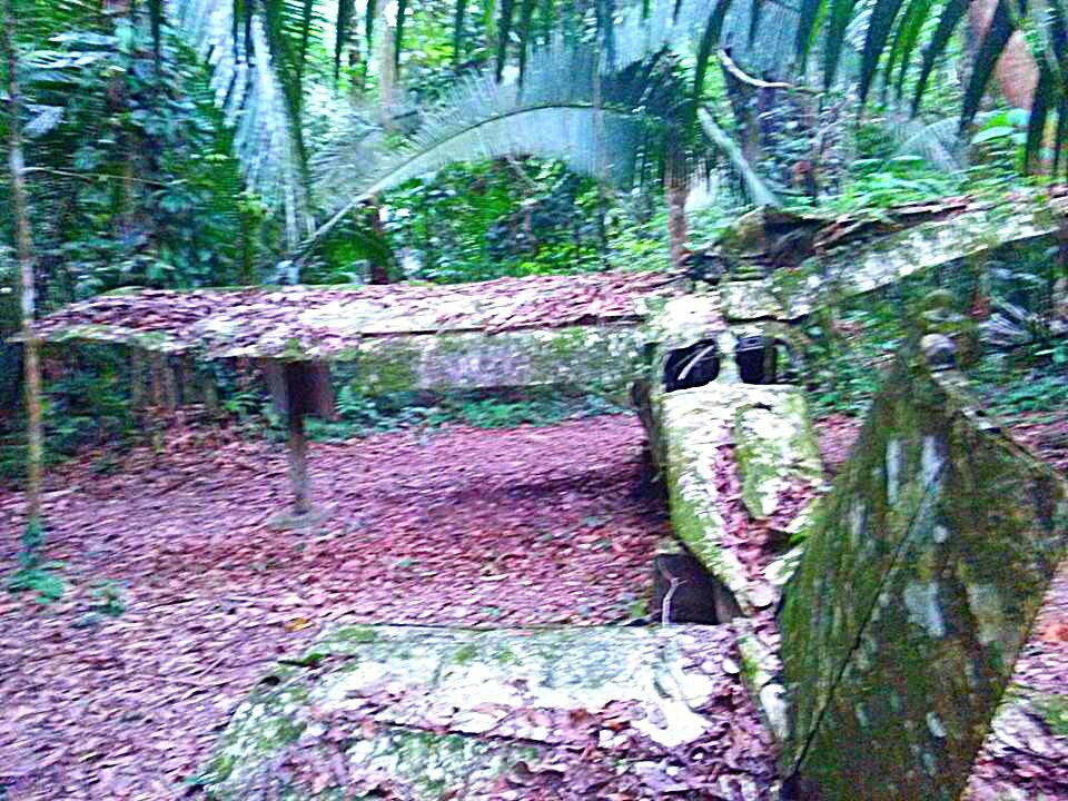 Belize Jungle plane wreck trail hike Cockscomb Basin Wildlife Sanctuary Jaguar Reserve