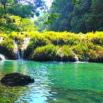 Semuc Champey Waterfalls and Tiered Turquoise Pools Guide