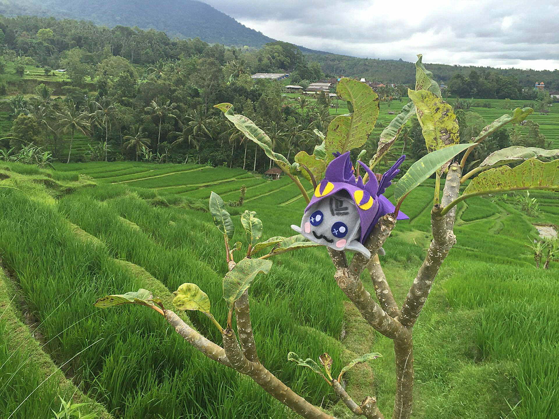 Jatiluwih Rice Terraces - Bali top 10 | Bali Itinerary Things to Do