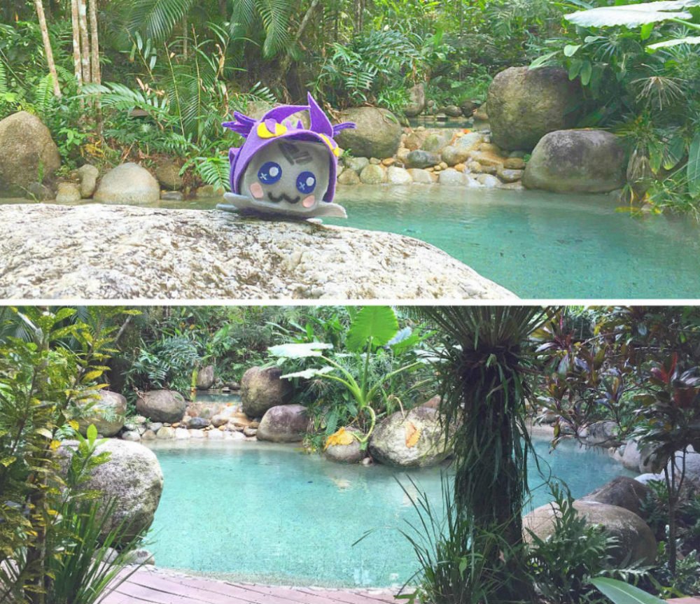 best beaches in Cairns beaches Rainforest Treehouse Lagoon