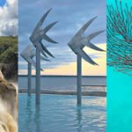 Best Things to Do in Cairns Australia Tourist Attractions