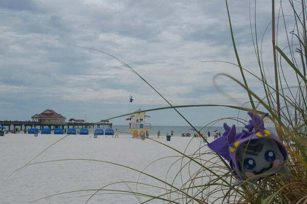 Pier 60 Clearwater Beach