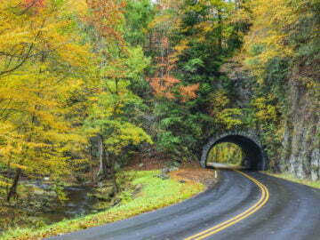 Fall in Tennessee Road Trip Itinerary