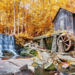 Fall in Georgia at an Old Mill in Marietta with the Golden Colors of Fall Surrounding it and a Waterfall to the Left