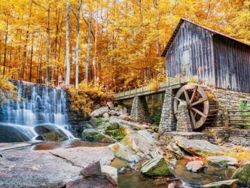 Fall in Georgia at an Old Mill in Marietta with the Golden Colors of Fall Surrounding it and a Waterfall to the Left