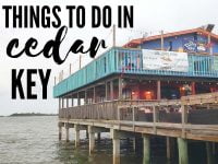 Things to Do in Cedar Key FL