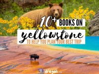 10+ Books On Yellowstone National Park, including guidebooks, trail guides, photography books, books for kids, maps, and more