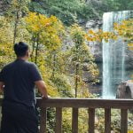 Hemlock Falls in Rising Fawn GA at Cloudland Canyon